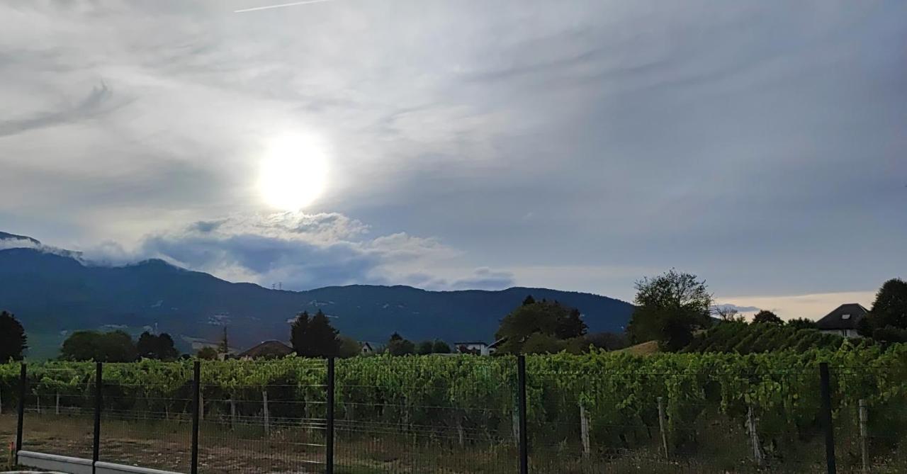 Chambre Au Coeur Des Vignes Myans Zewnętrze zdjęcie